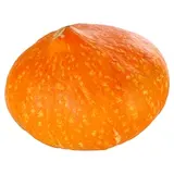 Tekvica Hokkaido voľná