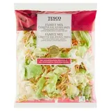 Family šalát mix 350 g
