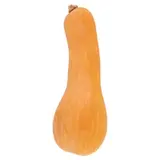 Tekvica maslová voľná
