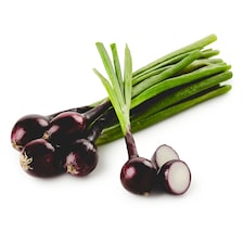 Jarná cibuľka červená zväzok