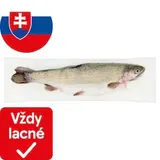 Pstruh dúhový pitvaný chladený