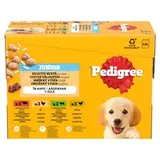 Pedigree Junior zmiešaný výber s ryžou v želé 12 x 100 g (1,2 kg)