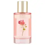 F&F Home Honeysuckle Floral Bouquet osviežovač vzduchu 100 ml