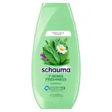 Schauma šampón 7 Herbs Freshness 250 ml