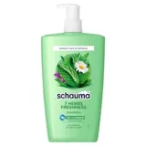 Schauma 7 Herbs Freshness šampón 1000 ml