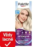 Palette Intensive Color Creme farba na vlasy Zvlášť popolavoplavý 10-2