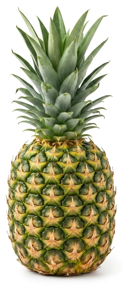 Ananás