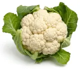 Karfiol
