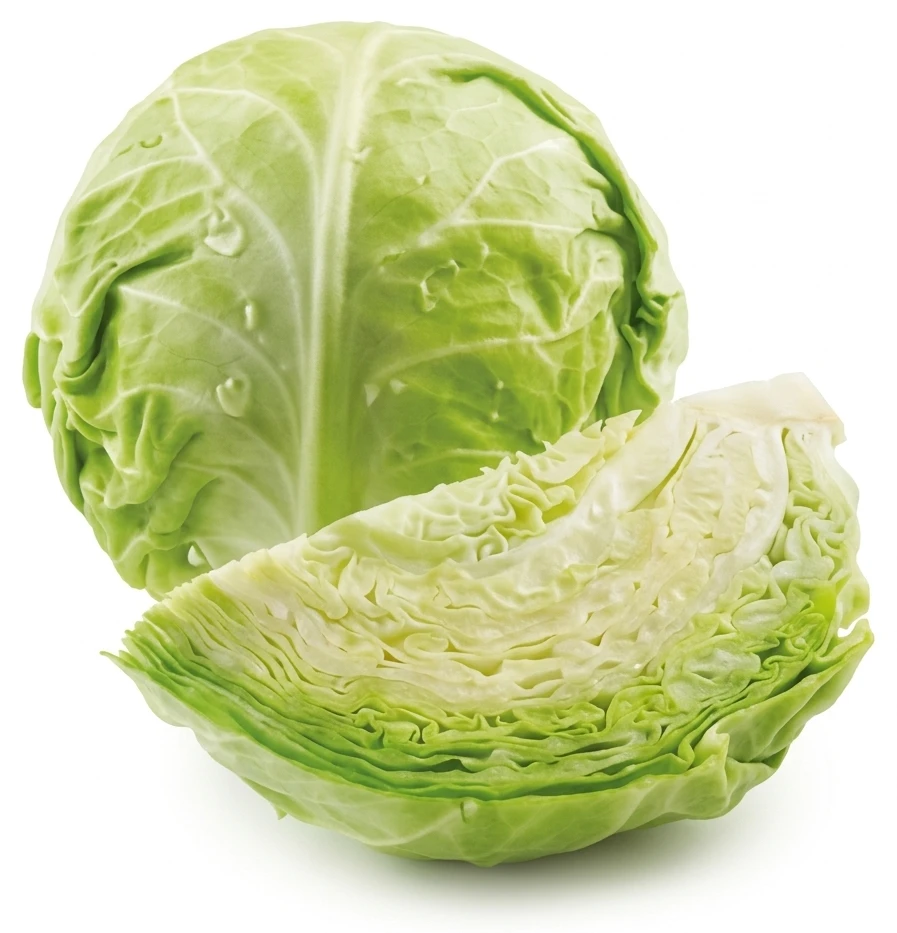 Kapusta biela