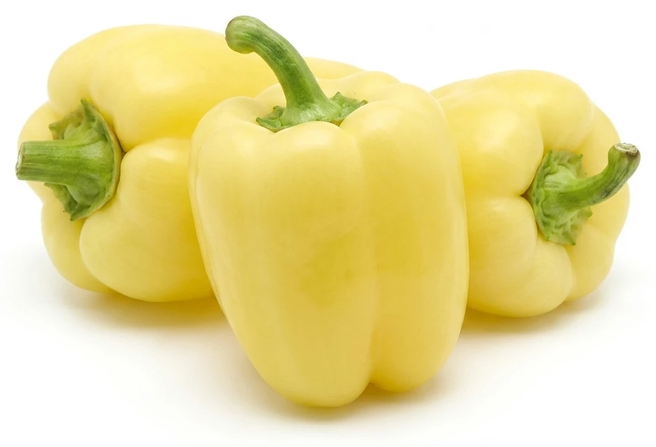 PAPRIKA BIELA VOĽNÁ