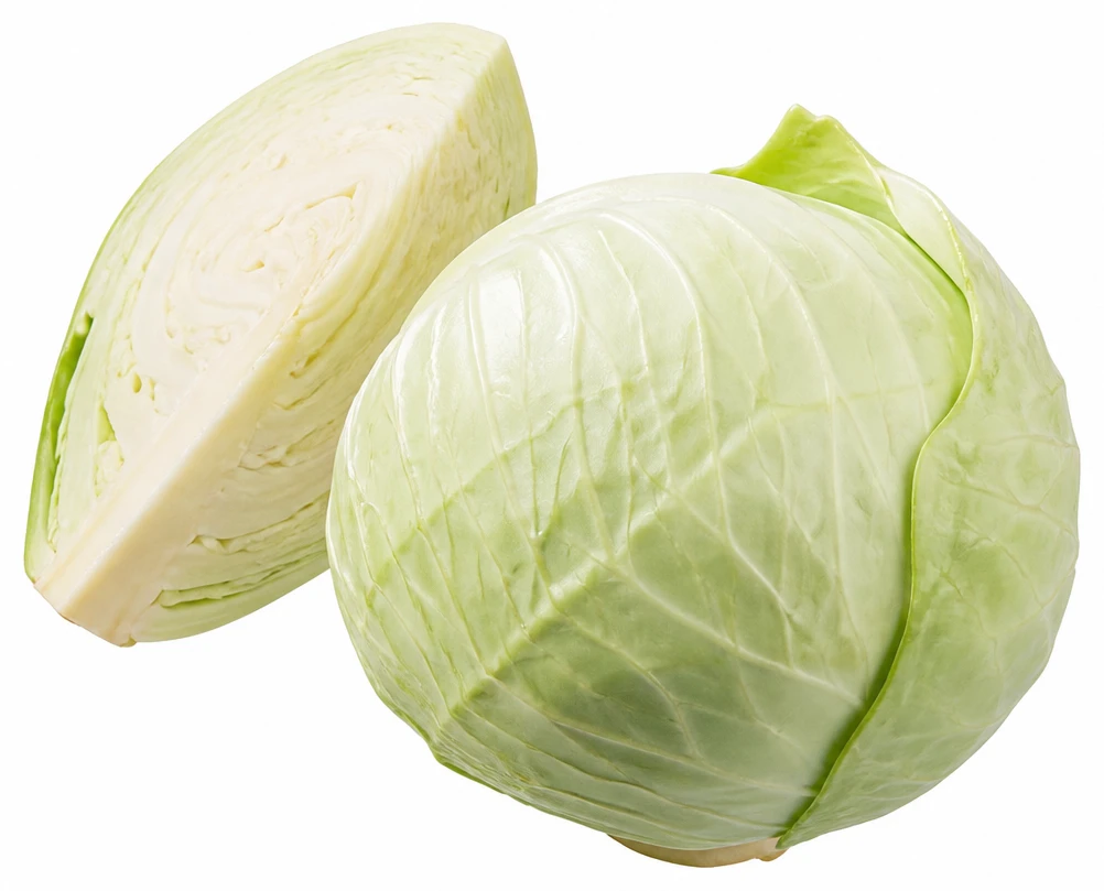 Kapusta biela
