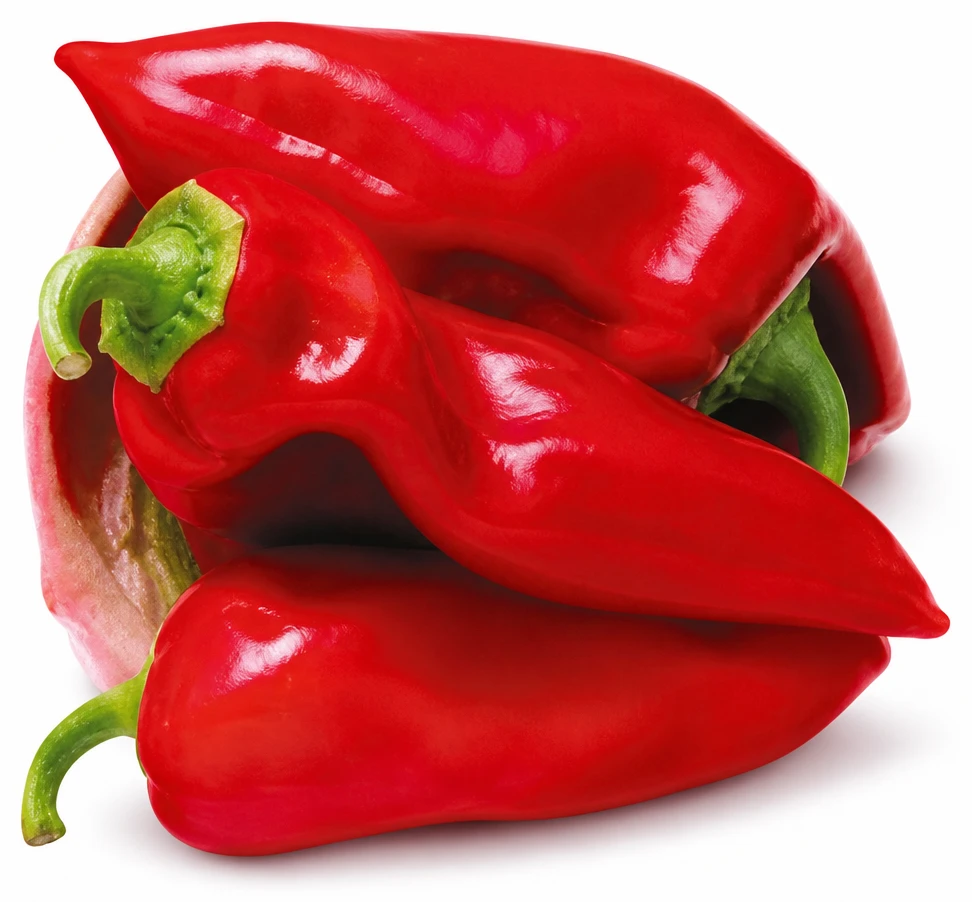 Paprika zeleninová kapia