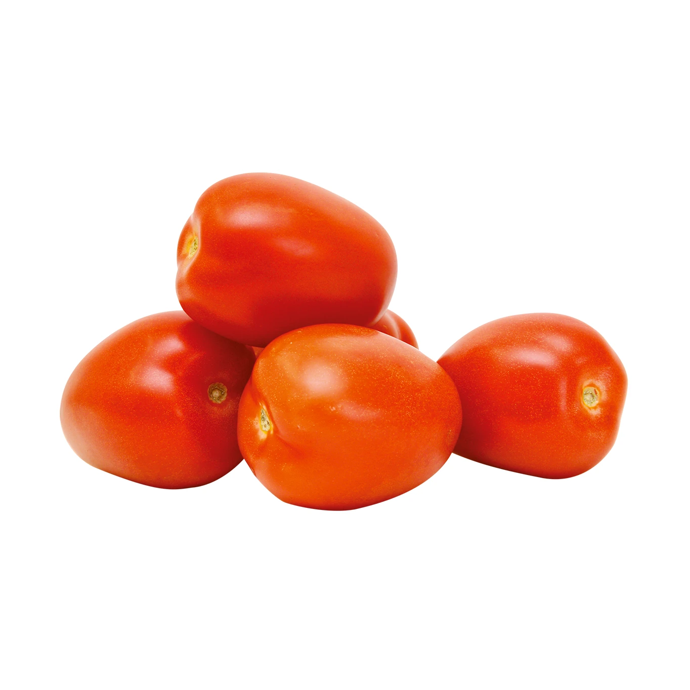 SCHIACCIATA S RAJČINAMI A MOZZAR.110G