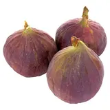Figy čerstvé ks