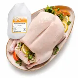 Kačica