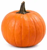 Chute Slovenska tekvica na Halloween voľná