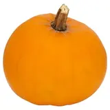 Tekvica Halloween voľná