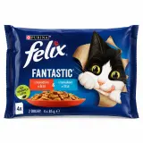 Felix Fantastic kapsičky pre mačky 2 druhy