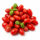 Paradajky Miniroma