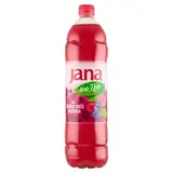 Jana Ice Tea príchuť lesné plody a brusnica 1,5 l
